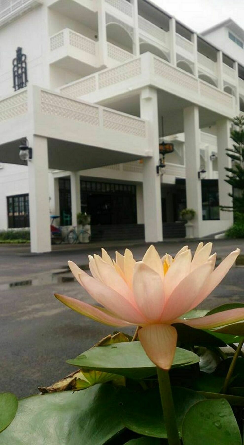 Koranaree Courtyard Boutique Hotel Nakhonratchasima Exteriör bild