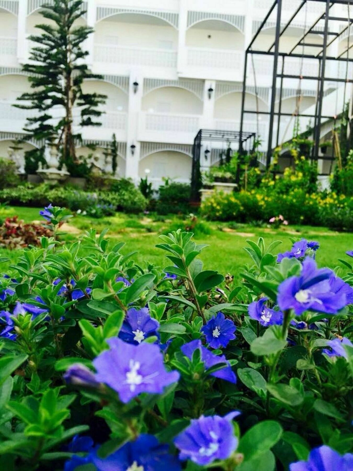 Koranaree Courtyard Boutique Hotel Nakhonratchasima Exteriör bild
