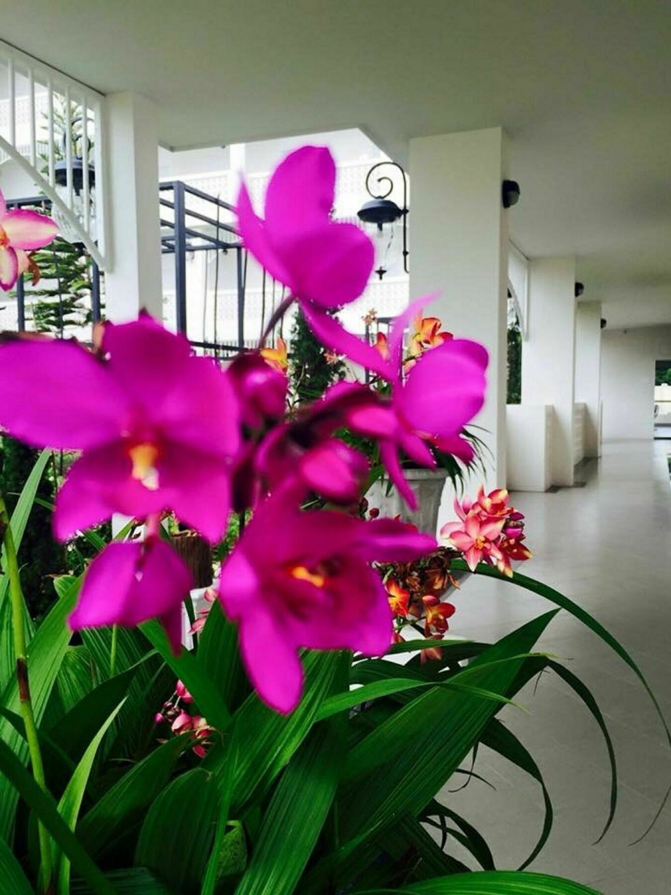 Koranaree Courtyard Boutique Hotel Nakhonratchasima Exteriör bild